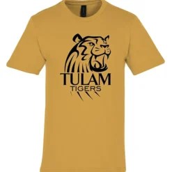 Gildan Softstyle Midweight T-Shirt - Men's