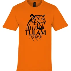Gildan Softstyle Midweight T-Shirt - Men's