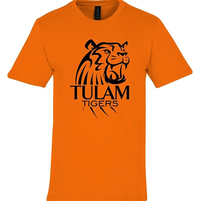 Gildan Softstyle Midweight T-Shirt - Men's