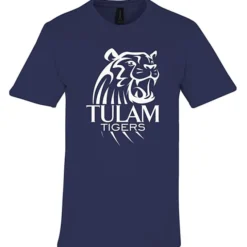 Gildan Softstyle Midweight T-Shirt - Men's