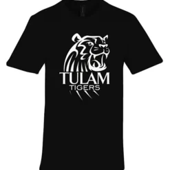 Gildan Softstyle Midweight T-Shirt - Men's
