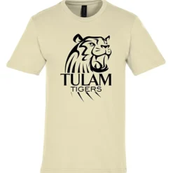 Gildan Softstyle Midweight T-Shirt - Men's