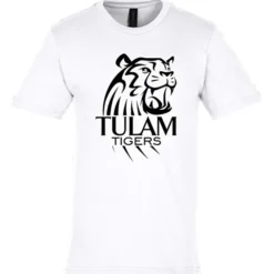 Gildan Softstyle Midweight T-Shirt - Men's