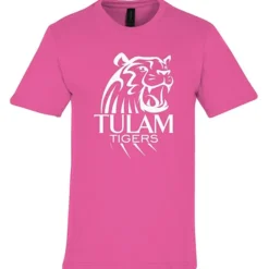 Gildan Softstyle Midweight T-Shirt - Men's