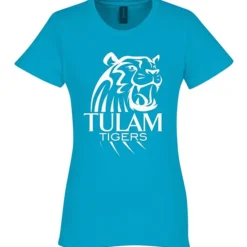 Gildan Softstyle Midweight T-Shirt - Ladies'