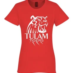 Gildan Softstyle Midweight T-Shirt - Ladies'