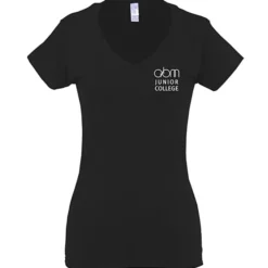 Gildan Softstyle V-Neck T-Shirt - Ladies' - Screen