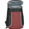 Glacier Backpack Cooler