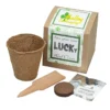 Growable Planter Gift Kit - Clovers