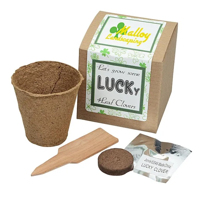 Growable Planter Gift Kit - Clovers - 24 hr