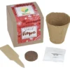 Growable Planter Gift Kit - Garden of Hope - 24 hr