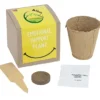 Growable Planter Gift Kit - Inspirational Emotional Support Plant