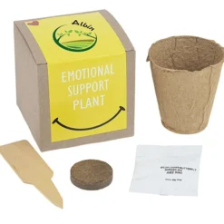 Growable Planter Gift Kit - Inspirational Emotional Support Plant - 24 hr