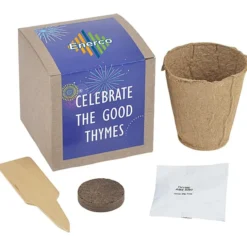 Growable Planter Gift Kit - Inspirational Celebrate Good Thymes - 24 hr