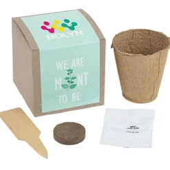 Growable Planter Gift Kit - Inspirational Mint To Be - 24 hr
