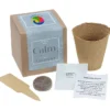 Growable Planter Gift Kit - Lavender