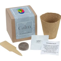 Growable Planter Gift Kit - Lavender