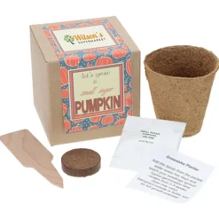 Growable Planter Gift Kit - Pumpkin - 24 hr