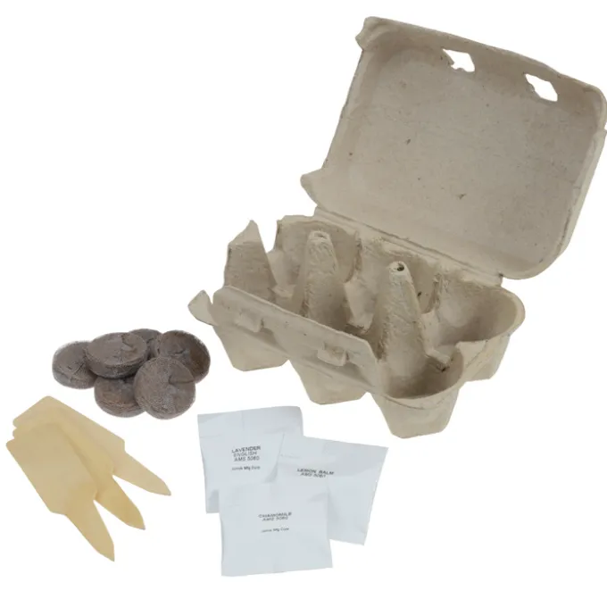 Grow Your Own Zen Herb Garden - 24 hr