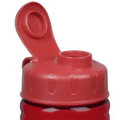 Halcyon Water Bottle with Flip Lid - 24 oz