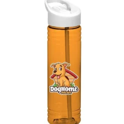 Halcyon Water Bottle with Flip Straw Lid - 24 oz - Full Color