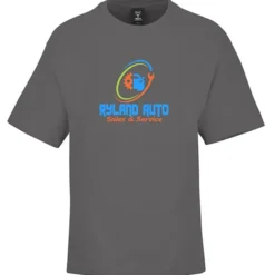 Hanes Beefy-T Retro T-Shirt - Full Color