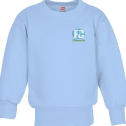 Hanes ComfortBlend Sweatshirt - Youth - Embroidered