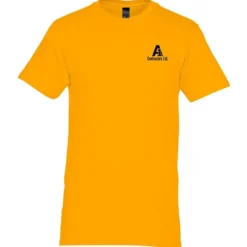 Hanes Perfect-T - Men's