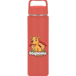 h2go Crux Stainless Bottle - 30 oz. - Full Color
