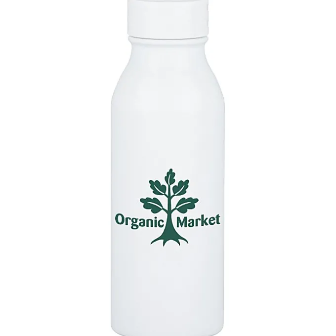 h2go Slant Stainless Bottle - 25 oz - 24 hr