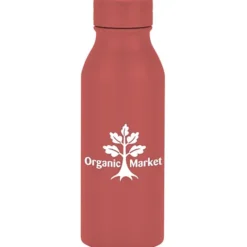 h2go Slant Stainless Bottle - 25 oz - 24 hr