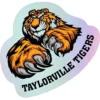 Holographic Custom Cut Sticker - Large