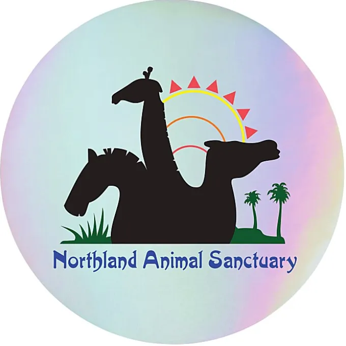 Holographic Sticker - Circle - 2 inches