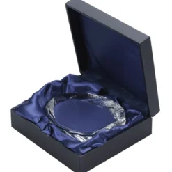 Iceberg Crystal Award - 4 1/8 inches