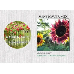 Impression Series Seed Packet - Sunflower Mix