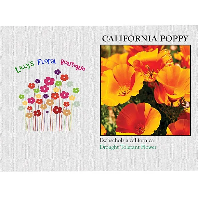 Impression Series Seed Packet - California Poppy