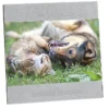 4 inches x 6 inches Brushed Aluminum Split Frame - 24 hr