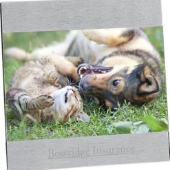 4 inches x 6 inches Brushed Aluminum Split Frame