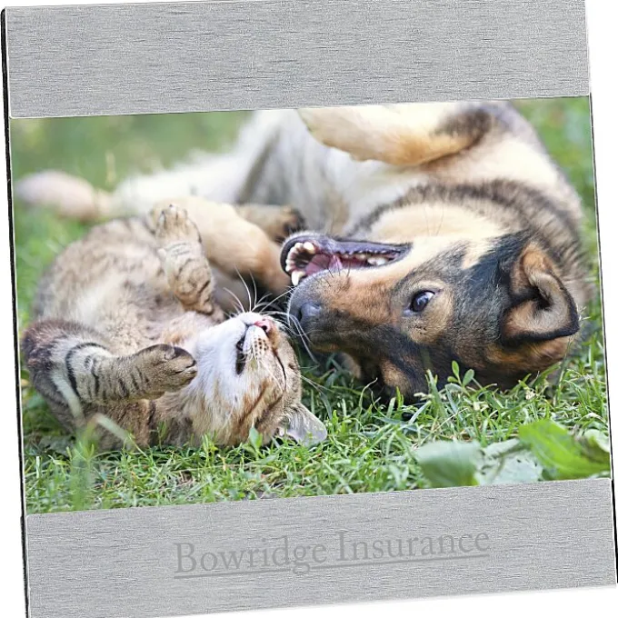 4 inches x 6 inches Brushed Aluminum Split Frame