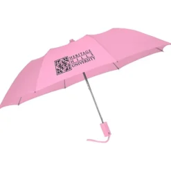 42-inch Folding Umbrella with Auto Open - Solid - 42-inch Arc - 24 hr