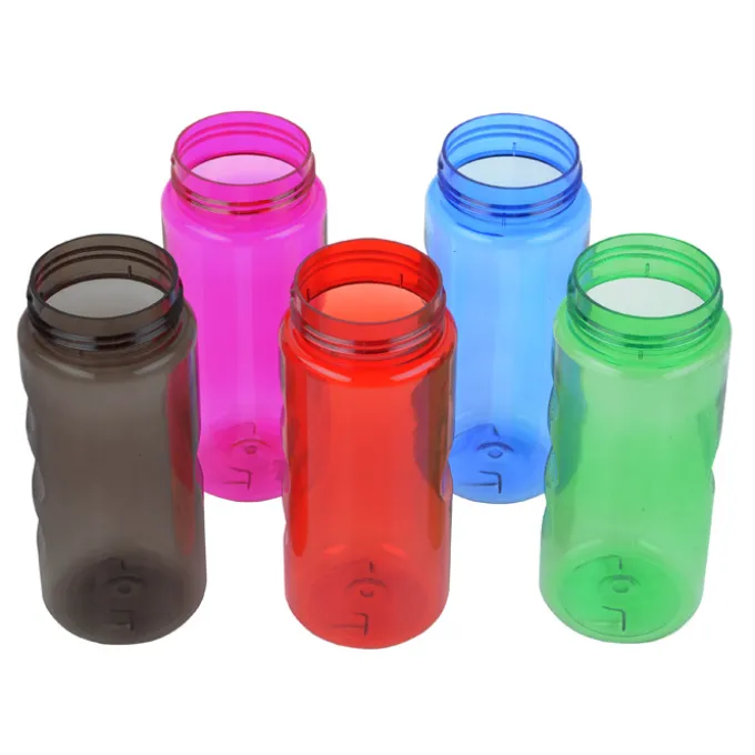 Infuser Mini Mountain Bottle with Flip Lid - 22 oz