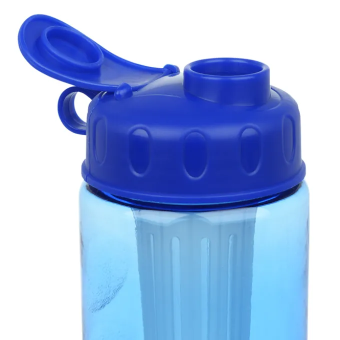 Infuser Mini Mountain Bottle with Flip Lid - 22 oz