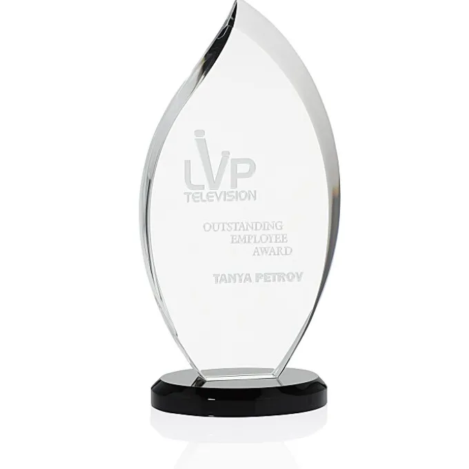 Innovation Crystal Award - 10 inches