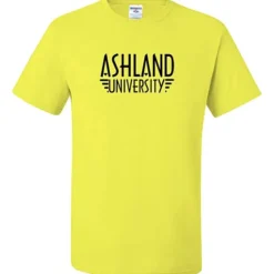 Jerzees Dri-Power 50/50 T-Shirt - Men's - Screen