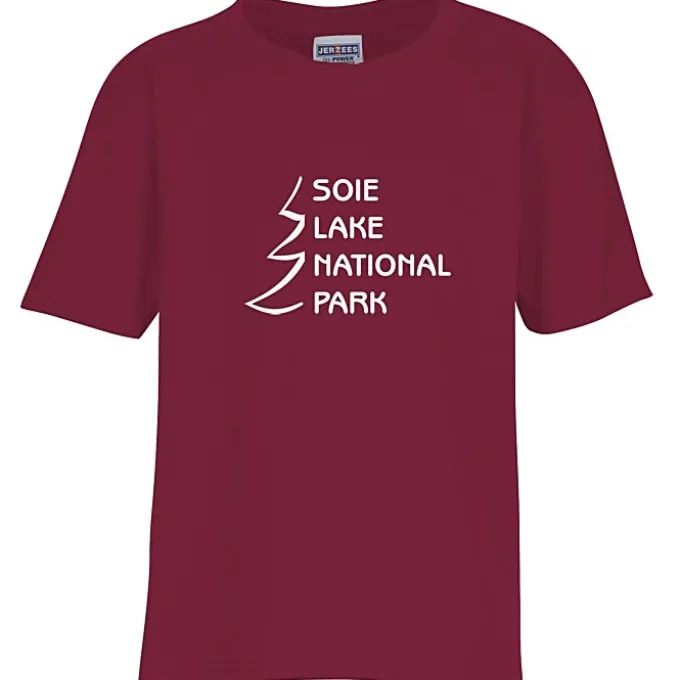 Jerzees Dri-Power 50/50 T-Shirt - Youth - Screen