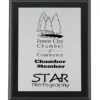 Juno Wood Plaque - 10 inches