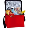 Koozie® 6-Pack Cooler - 24 hr