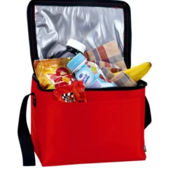 Koozie® 6-Pack Cooler - 24 hr