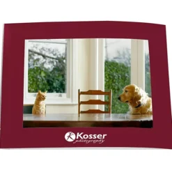 Laminated Photo Frame - 7 inches x 5 inches - Color