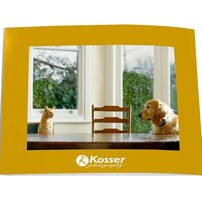 Laminated Photo Frame - 7 inches x 5 inches - Color